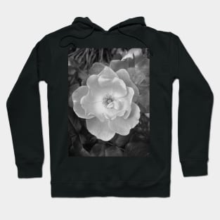 Beach Rose (in Black & White) Hoodie